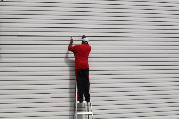 Best Siding Repair  in Freeland, MI