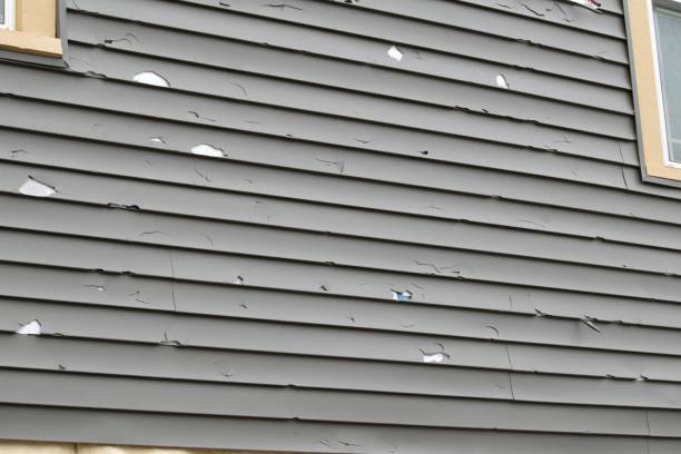 Storm Damage Siding Repair in Freeland, MI