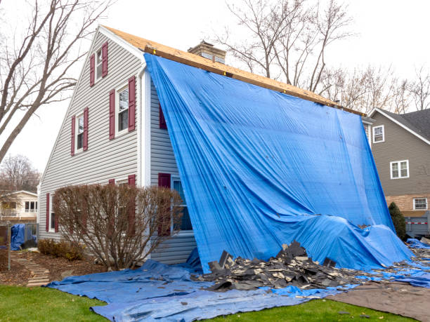 Best James Hardie Siding  in Freeland, MI