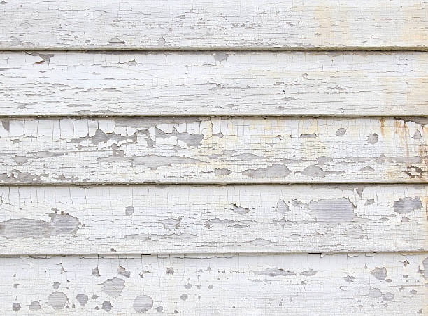 Best Storm Damage Siding Repair  in Freeland, MI