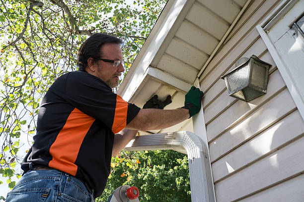 Freeland, MI Siding Installation & Repair Company